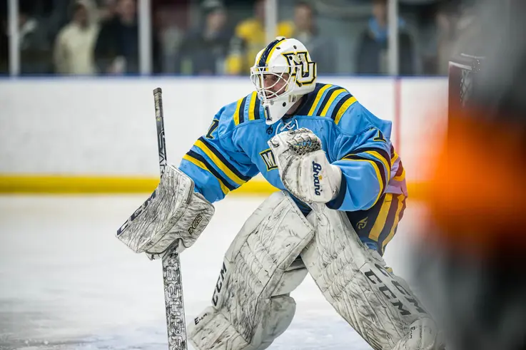 goalie in the net
